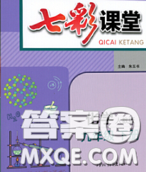 河北教育出版社2020春七彩课堂九年级化学下册人教版答案