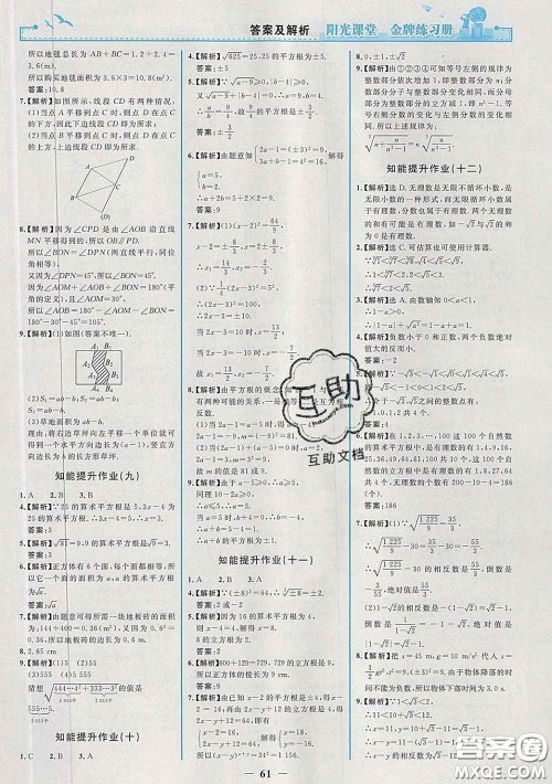 2020新版阳光课堂金牌练习册七年级数学下册人教版答案 2020新版阳光课堂金牌练习册七年级数学下册人教版答案