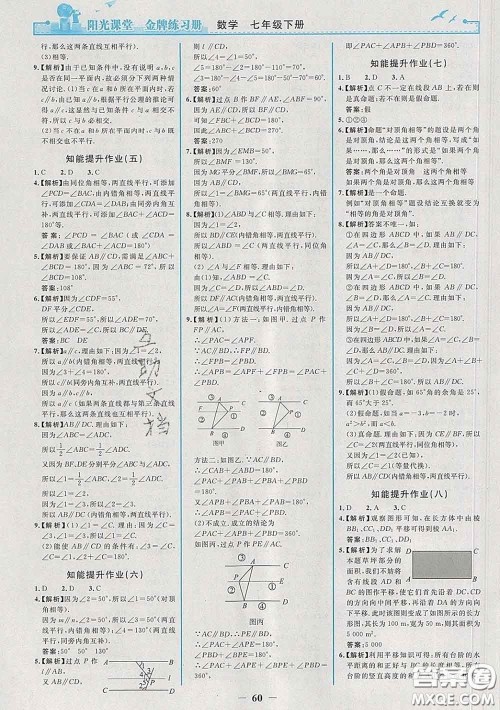 2020新版阳光课堂金牌练习册七年级数学下册人教版答案 2020新版阳光课堂金牌练习册七年级数学下册人教版答案