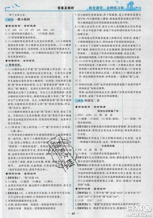 2020新版阳光课堂金牌练习册七年级语文下册人教版答案 2020新版阳光课堂金牌练习册七年级语文下册人教版答案