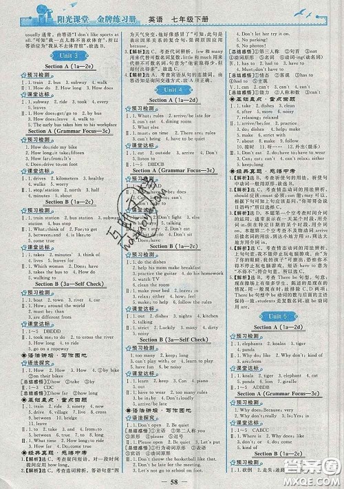 2020新版阳光课堂金牌练习册七年级英语下册人教版答案 2020新版阳光课堂金牌练习册七年级英语下册人教版答案