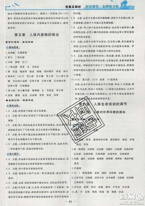 2020新版阳光课堂金牌练习册七年级生物下册人教版答案 2020新版阳光课堂金牌练习册七年级生物下册人教版答案