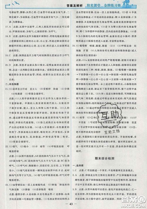 2020新版阳光课堂金牌练习册七年级生物下册人教版答案 2020新版阳光课堂金牌练习册七年级生物下册人教版答案