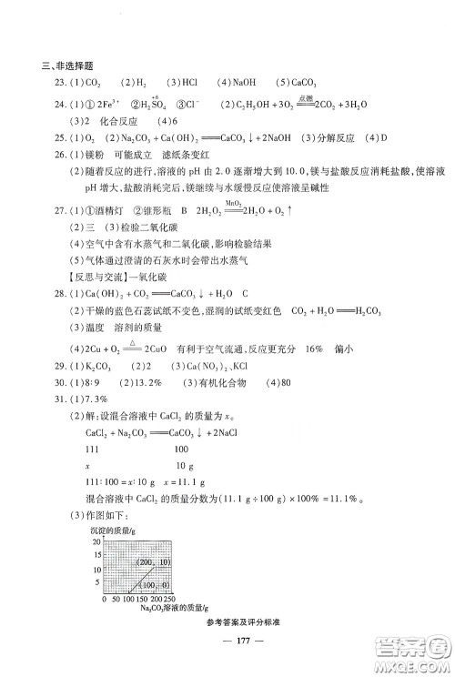 2020一本必胜中考化学模拟试题银版答案 2020一本必胜中考化学模拟试题银版答案