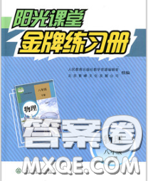 2020新版阳光课堂金牌练习册八年级物理下册人教版答案