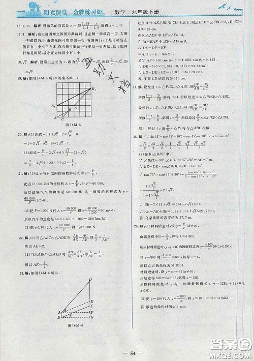 2020新版阳光课堂金牌练习册九年级数学下册人教版答案