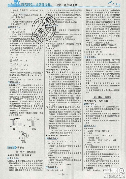 2020新版阳光课堂金牌练习册九年级化学下册人教版答案 2020新版阳光课堂金牌练习册九年级化学下册人教版答案