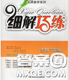 2020春名师助学系列细解巧练六年级生物下册人教版答案 2020春名师助学系列细解巧练六年级生物下册人教版答案