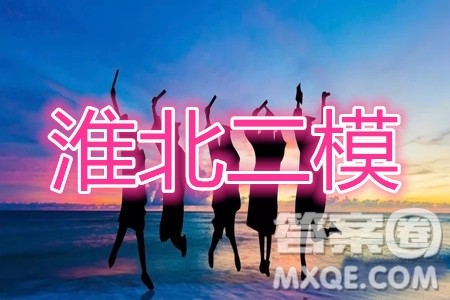 淮北市2020届高三第二次模拟考试理科数学试题及答案