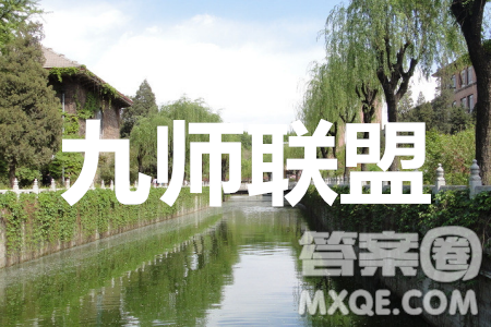 九师联盟2019-2020学年高三5月质量检测文科综合答案