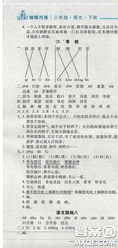 2020春名师助学系列细解巧练三年级语文下册人教版答案 2020春名师助学系列细解巧练三年级语文下册人教版答案