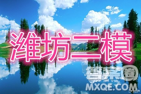 2020年潍坊二模数学试题及答案