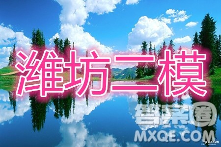2020年潍坊二模数学试题及答案 2020年潍坊二模数学试题及答案