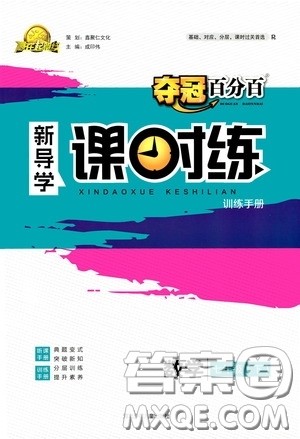 2020赢在起跑线上夺冠百分百新导学课时练七年级数学下册人教版答案