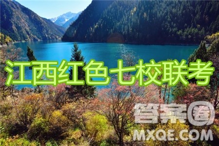 江西省红色七校2020届高三第二次联考文科数学试题及答案