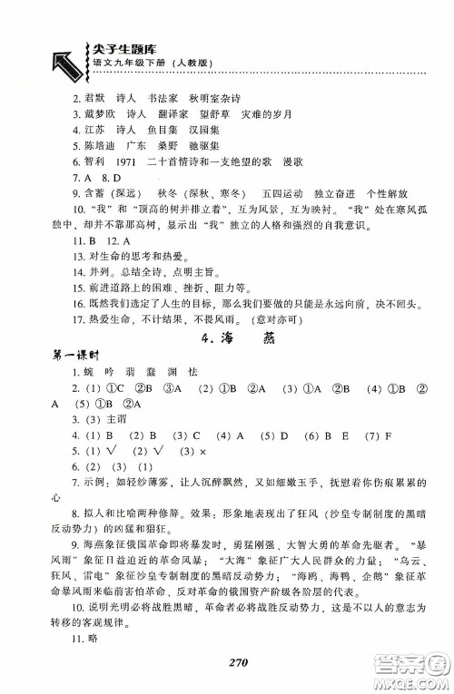 辽宁教育出版社2020尖子生题库最新升级九年级语文下册人教版答案