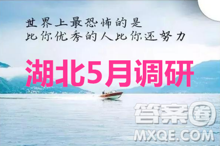 2020年湖北省高三5月调研模拟考试语文试题及答案