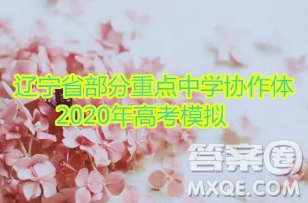 辽宁省部分重点中学协作体2020年高考模拟考试理科数学试题及答案