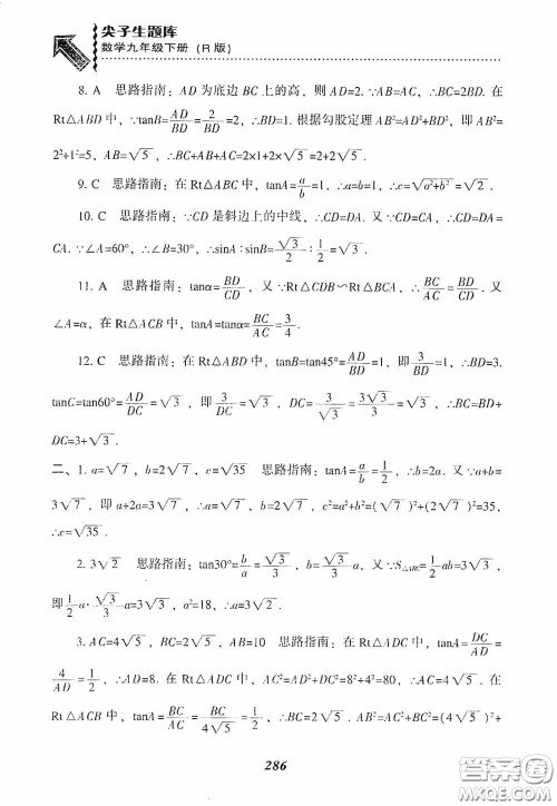 辽宁教育出版社2020尖子生题库九年级数学下册人教版答案
