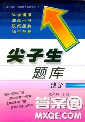 辽宁教育出版社2020尖子生题库九年级数学下册人教版答案