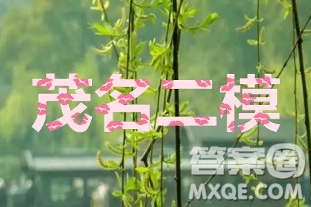 2020年茂名市高三年级第二次综合测试文科数学试题及答案 2020年茂名市高三年级第二次综合测试文科数学试题及答案