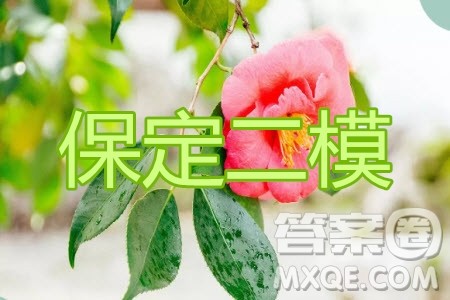 保定2020年高三第二次模拟考试理科数学试题及答案