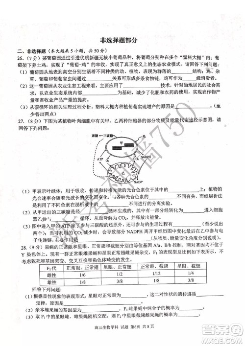 2019学年第二学期浙江七彩阳光新高考研究联盟阶段性评估高三生物试题及答案 2019学年第二学期浙江七彩阳光新高考研究联盟阶段性评估高三生物试题及答案