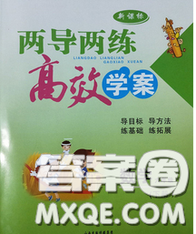 2020新版两导两练高效学案六年级数学下册人教版答案