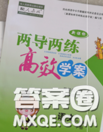 2020新版两导两练高效学案六年级语文下册人教版答案 2020新版两导两练高效学案六年级语文下册人教版答案