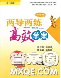 2020新版两导两练高效学案六年级英语下册上教版答案