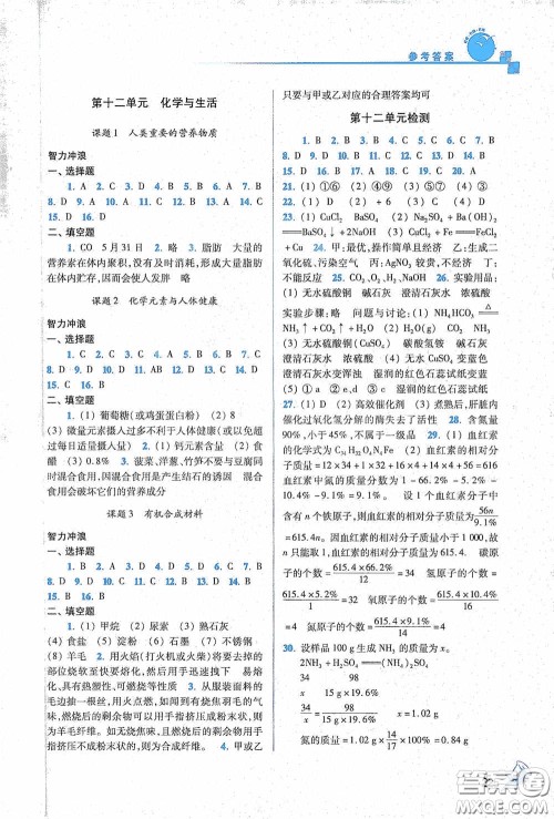 东南大学出版社2020名师点拨课课通教材全解析九年级化学下册人教版答案