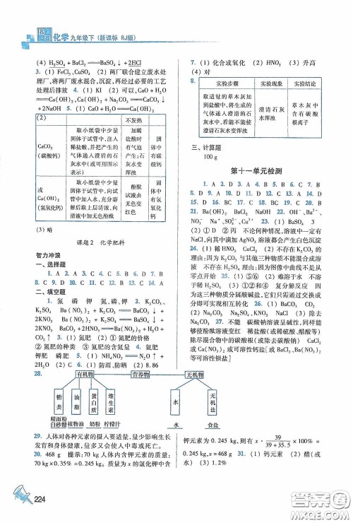 东南大学出版社2020名师点拨课课通教材全解析九年级化学下册人教版答案