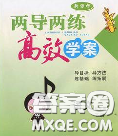 2020新版两导两练高效学案五年级语文下册人教版答案 2020新版两导两练高效学案五年级语文下册人教版答案