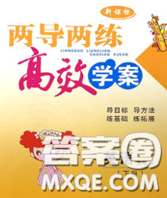 2020新版两导两练高效学案五年级英语下册上教版答案