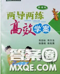 2020新版两导两练高效学案四年级数学下册人教版答案 2020新版两导两练高效学案四年级数学下册人教版答案