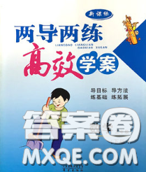2020新版两导两练高效学案三年级数学下册人教版答案 2020新版两导两练高效学案三年级数学下册人教版答案