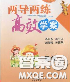 2020新版两导两练高效学案一年级数学下册北师版答案