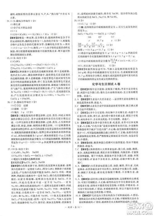 西藏人民出版社2020天利38套对接中考单元专题双测卷九年级化学下册人教版答案