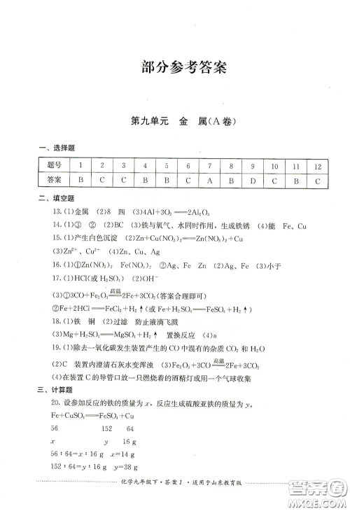 四川教育出版社2020课程标准初中单元测试九年级化学下册山东教育版答案