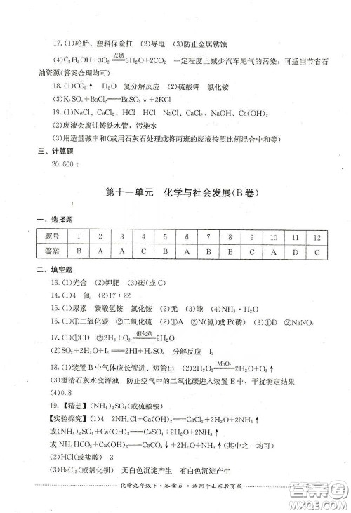 四川教育出版社2020课程标准初中单元测试九年级化学下册山东教育版答案