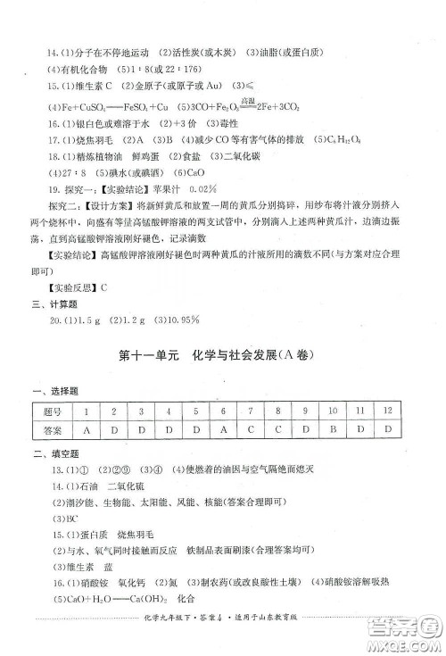 四川教育出版社2020课程标准初中单元测试九年级化学下册山东教育版答案