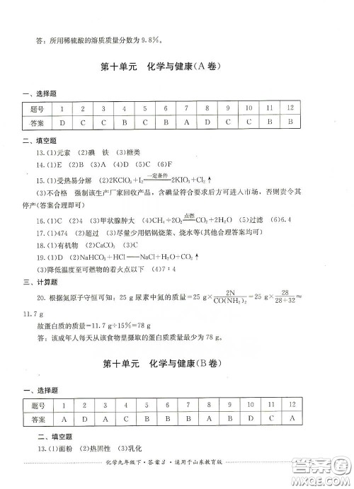 四川教育出版社2020课程标准初中单元测试九年级化学下册山东教育版答案