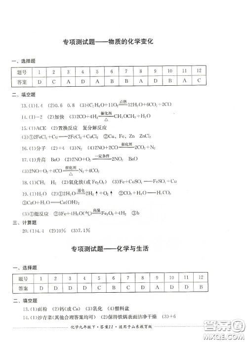 四川教育出版社2020课程标准初中单元测试九年级化学下册山东教育版答案