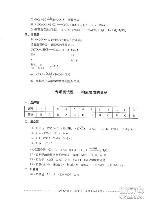 四川教育出版社2020课程标准初中单元测试九年级化学下册山东教育版答案