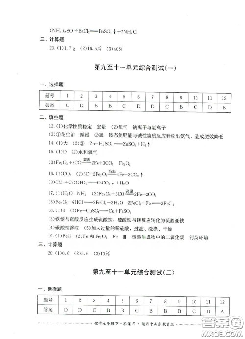 四川教育出版社2020课程标准初中单元测试九年级化学下册山东教育版答案