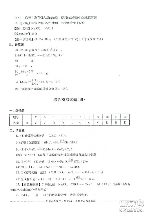 四川教育出版社2020课程标准初中单元测试九年级化学下册山东教育版答案