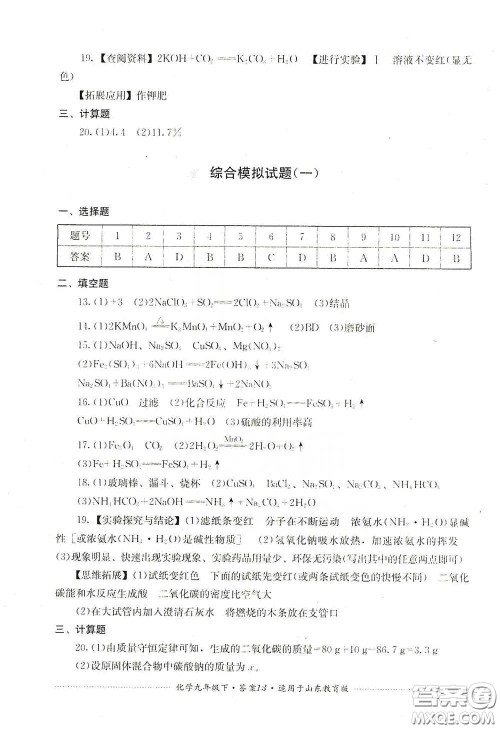 四川教育出版社2020课程标准初中单元测试九年级化学下册山东教育版答案