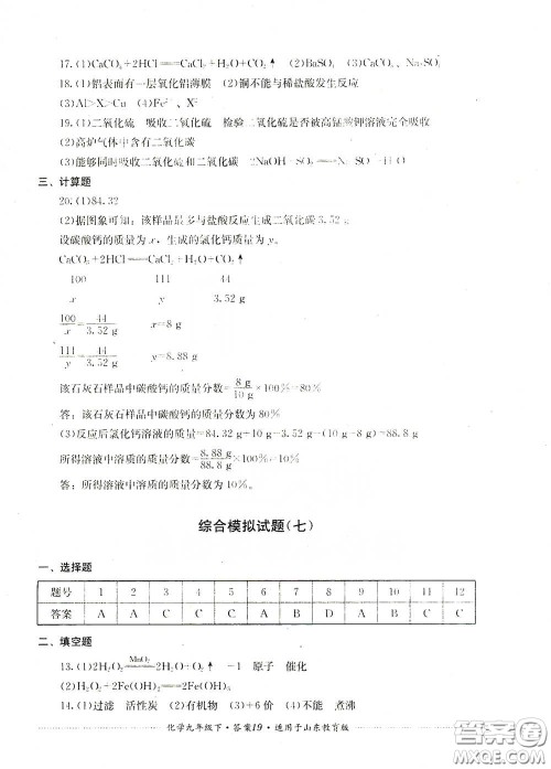 四川教育出版社2020课程标准初中单元测试九年级化学下册山东教育版答案