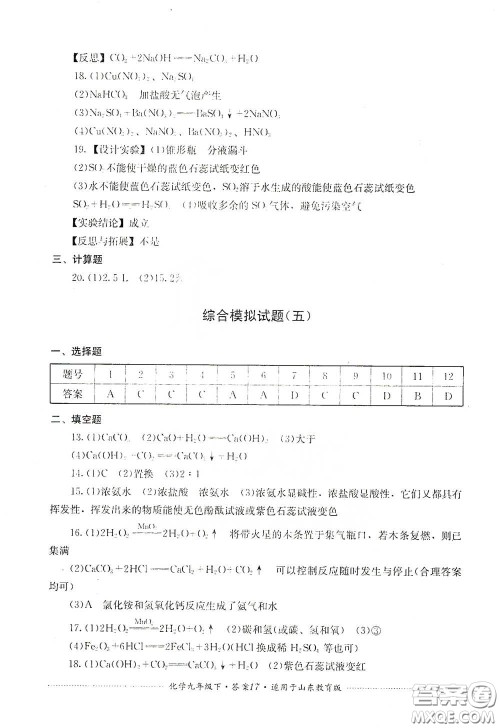 四川教育出版社2020课程标准初中单元测试九年级化学下册山东教育版答案