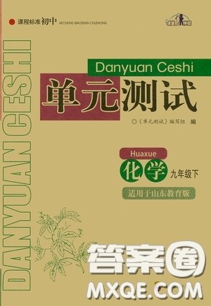 四川教育出版社2020课程标准初中单元测试九年级化学下册山东教育版答案